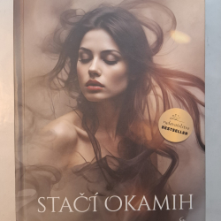Brezovská S.Dada - Stačí okamih