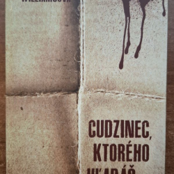 Williamsová Kylie Amanda - Cudzinec, ktorého hľadáš