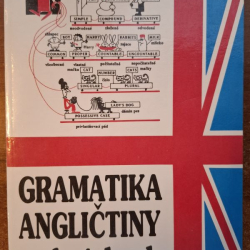 Gramatika angličtiny v obrázkoch - Dubrovin Mark Isaakovič