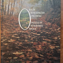 Okolím Beskydského prusmyku - Okolice Beskidzkiej kolice - Irena Cichá