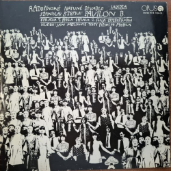 Radošinské naivné divadlo - Pavilón B 2LP (1987)