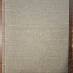 Merežkovskij D.S. - Leonardo da Vinci I.