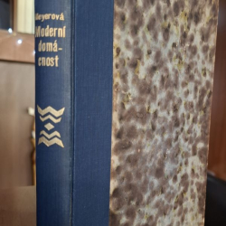 Moderní domácnost - Dr. Erna Meyerová