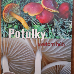 Potulky svetom húb