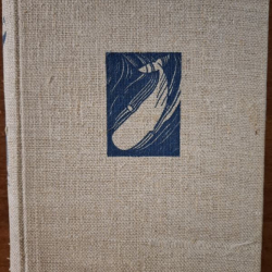Melville Herman - Bílá velryba