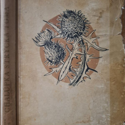 Stowe Beecher Harriet - Chalúpka strýčka Toma (1955)