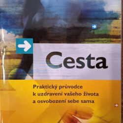 Bays Brandon - Cesta