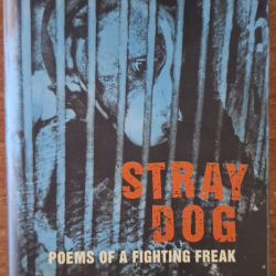 Polansky Paul - Stray dog * Toulavej pes