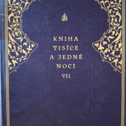 Kniha tisíce a jedné noci VII.