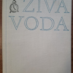 Katajev Valentín - Živá voda