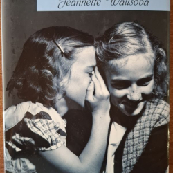 Wallsová Jeannette - Sklený zámok
