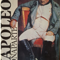 Manfred A.Z. - Napoleon Bonaparte