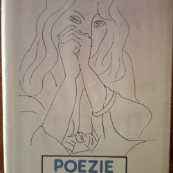 Poezie přelomu století - J.Honzík a kolektív