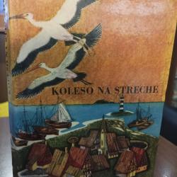 Dejong Meindert - Koleso na streche