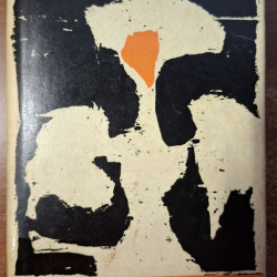 Eca de Queiroz - Bratanec Bazilio