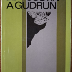 Olav Duun - Justín a Gudrun