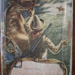 Reid Mayne - Jazdec bez hlavy