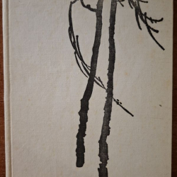 Pazourek Vladimír  - Šelmy hľadajú domov