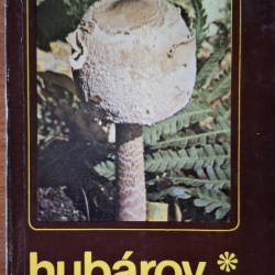 Příhoda Antonín - Hubárov rok