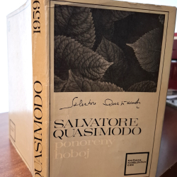 Quasimodo Salvatore - Ponorený hoboj