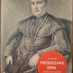 Repko Jozef - Prebúdzanie obra - román o živote a pôsobení biskupa Štefana Moysesa