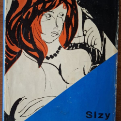 Slzy a víno - Francúzske poviedky XIX.