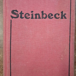 Steinbeck John - Rovina Tortilla