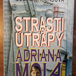 Townsendová Sue - Strasti a útrapy Adriana Mola