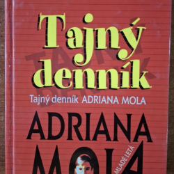 Townsendová Sue - Tajný denník Adriana Mola